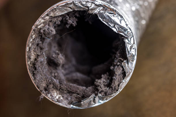 Best Air Duct Mold Removal  in USA